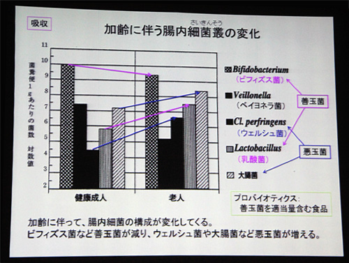 加齢にともない薬物の効き方も変化するという。つまり効き目が弱くなるものや、強すぎてしまうものがあるのだ。