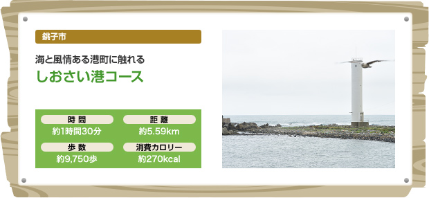 銚子市 海と風情ある港町に触れる しおさい港コース