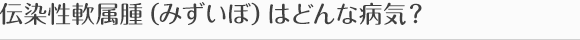 伝染性軟属腫（みずいぼ）はどんな病気？